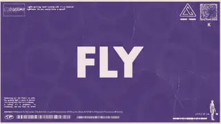  thumbnail: Alan Walker, Steve Aoki, Lonely Club - Fly (Official Visualizer)