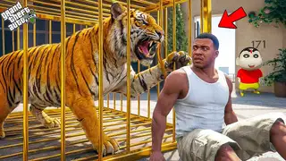  thumbnail: GTA V: Franklin and Shinchan Tries To Catch The Bengal Tiger Of Los Santos In GTA 5 Telugu | #gta5
